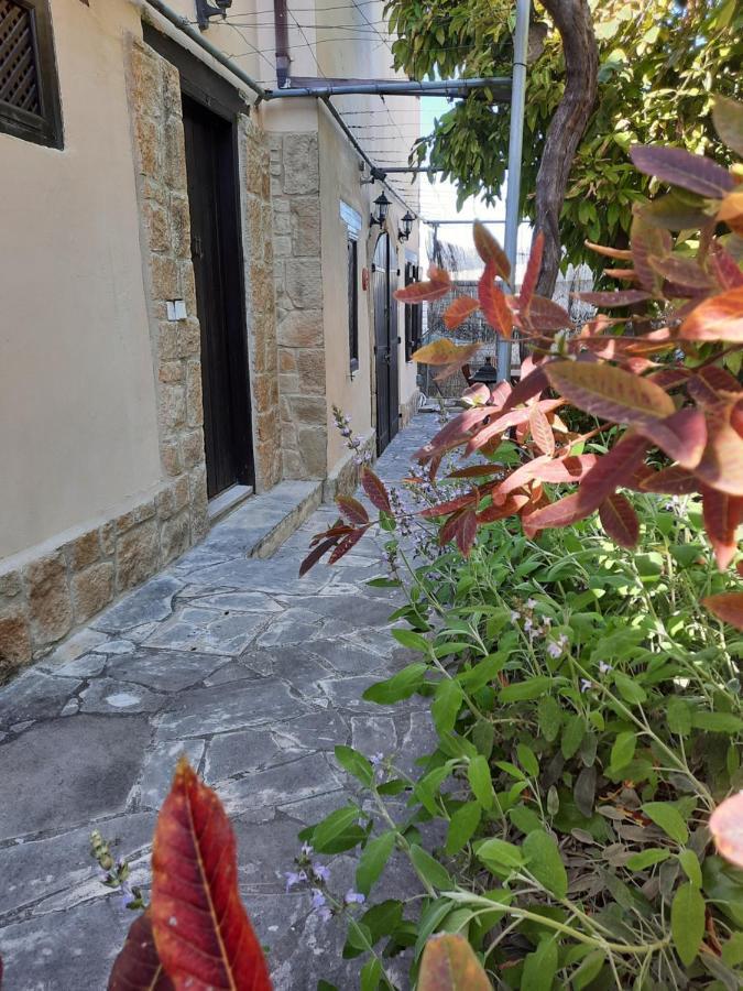Villa Vasilion Agrotourism Polis Exterior foto