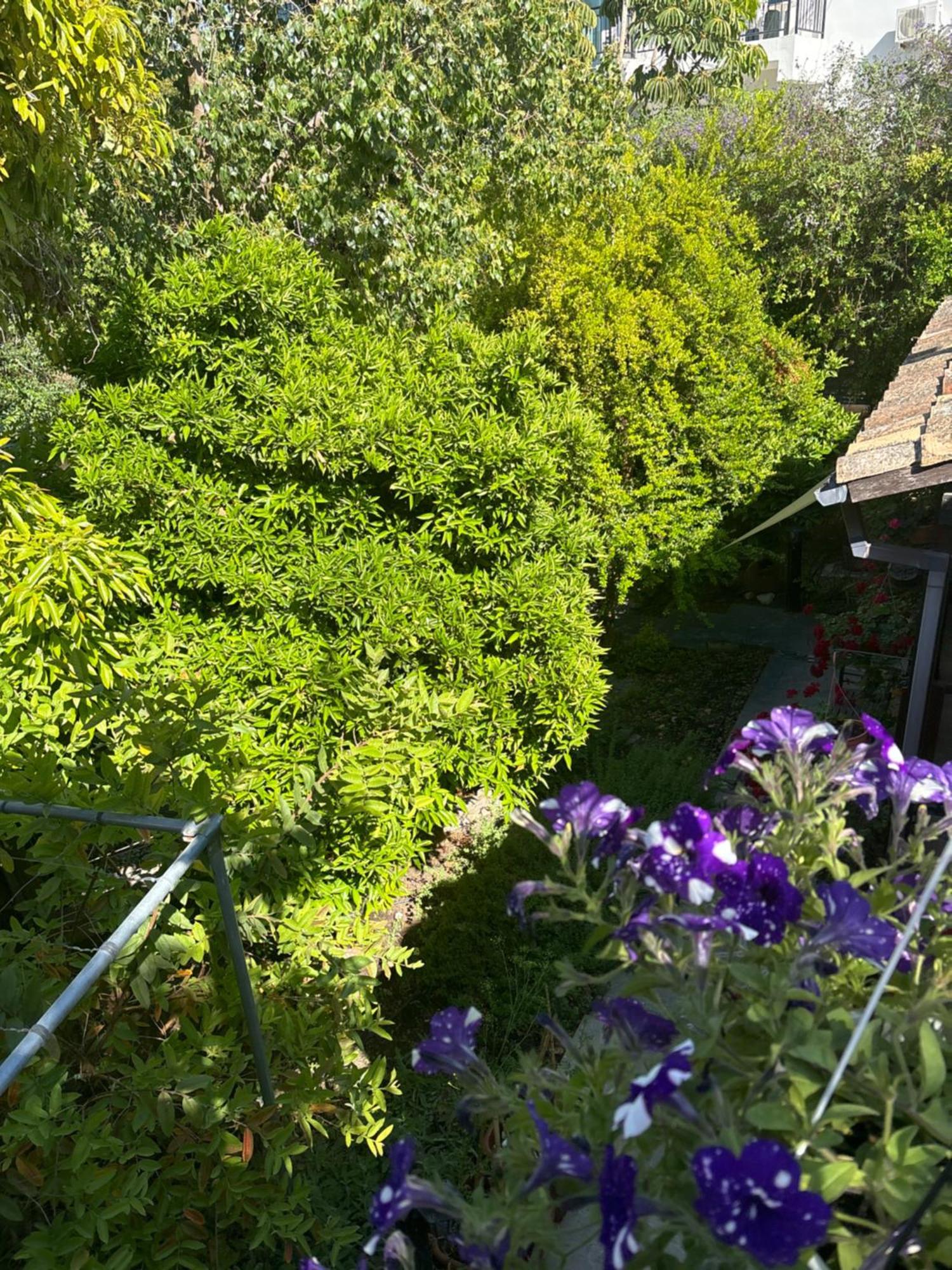 Villa Vasilion Agrotourism Polis Exterior foto