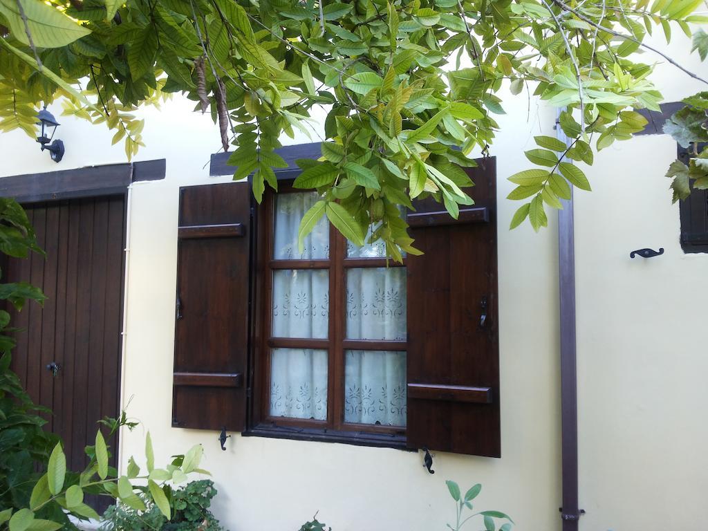 Villa Vasilion Agrotourism Polis Zimmer foto