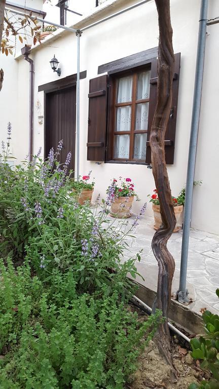 Villa Vasilion Agrotourism Polis Exterior foto